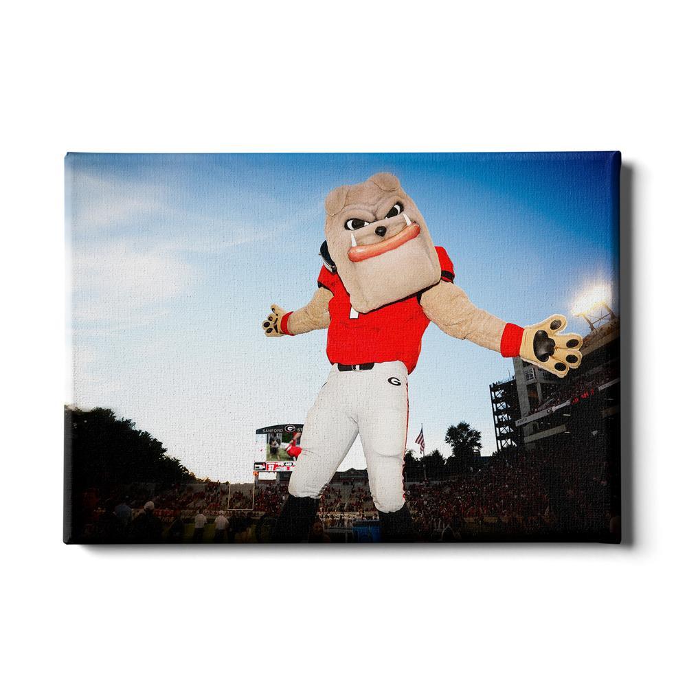 Georgia Bulldogs - Hairy the Dawg - College Wall Art #Canvas