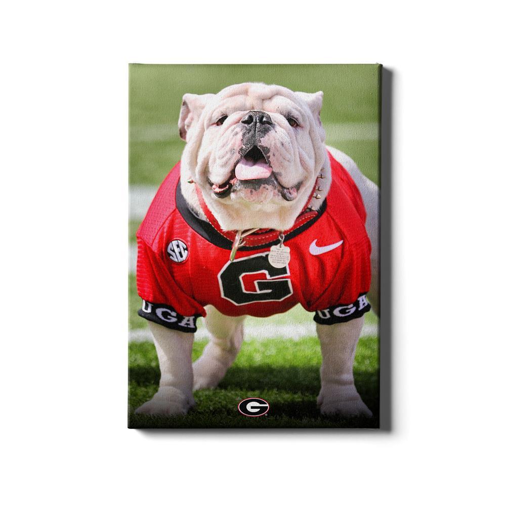 Georgia Bulldogs - Uga Poised II - College Wall Art #Canvas