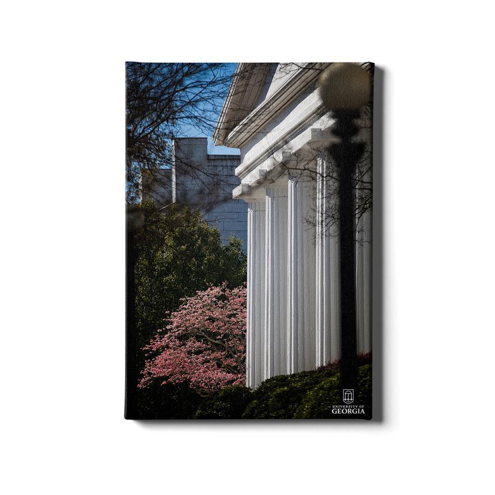 Georgia Bulldogs - Pillars of Strength - College Wall Art #Canvas