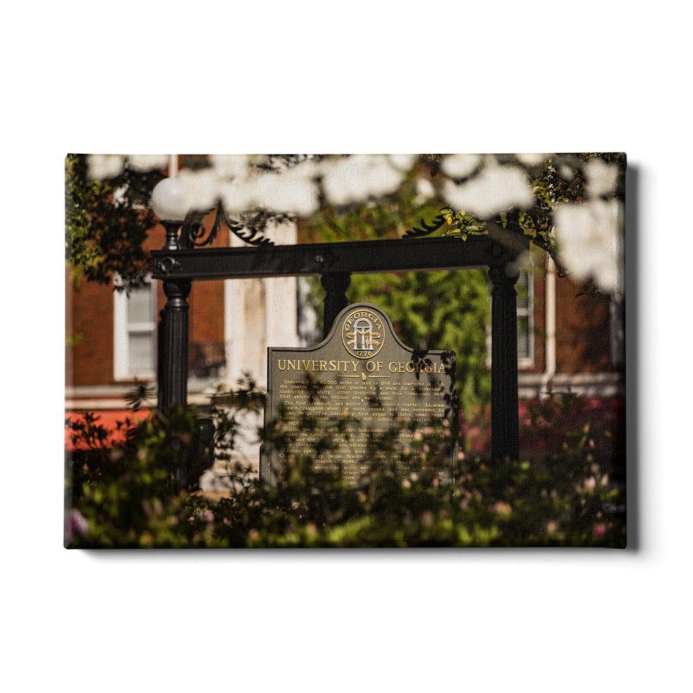 Georgia Bulldogs - Looking Through the Arch - College Wall Art #Canvas
