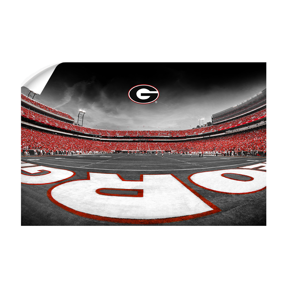 Georgia Bulldogs - Sanford Stadium End Zone Duotone - College Wall Art #Canvas