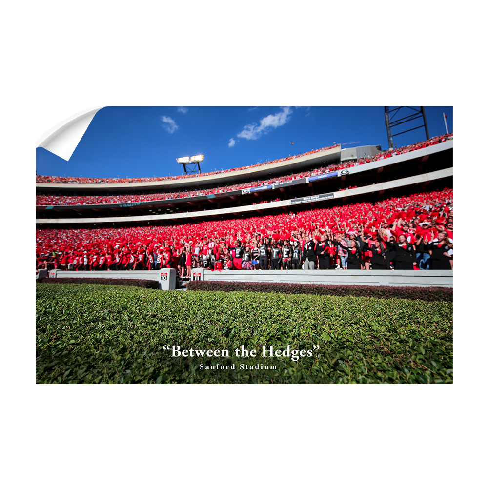 Georgia Bulldogs - Between the Hedges UGA - College Wall Art #Canvas