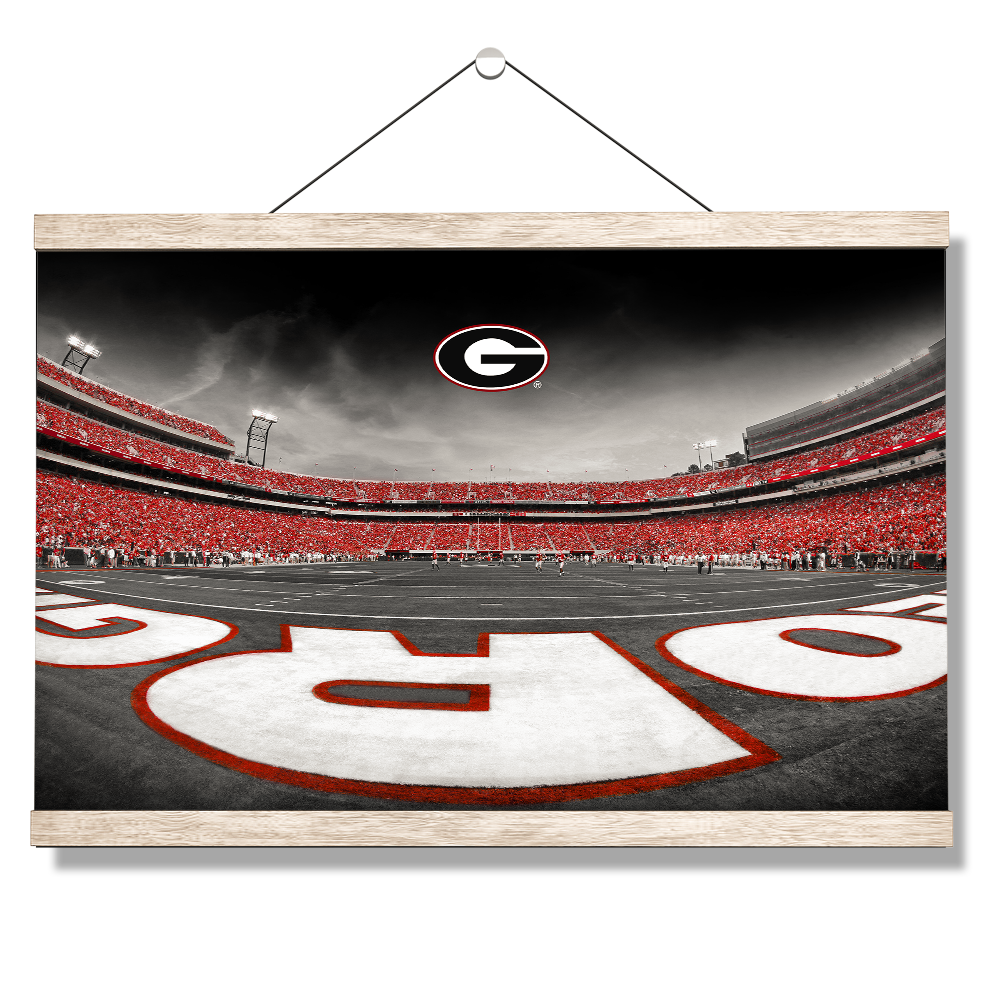 Georgia Bulldogs - Sanford Stadium End Zone Duotone - College Wall Art #Canvas