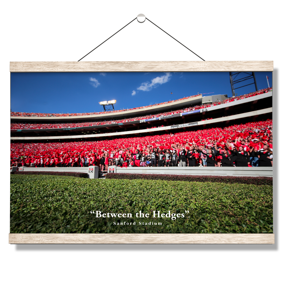 Georgia Bulldogs - Between the Hedges UGA - College Wall Art #Canvas