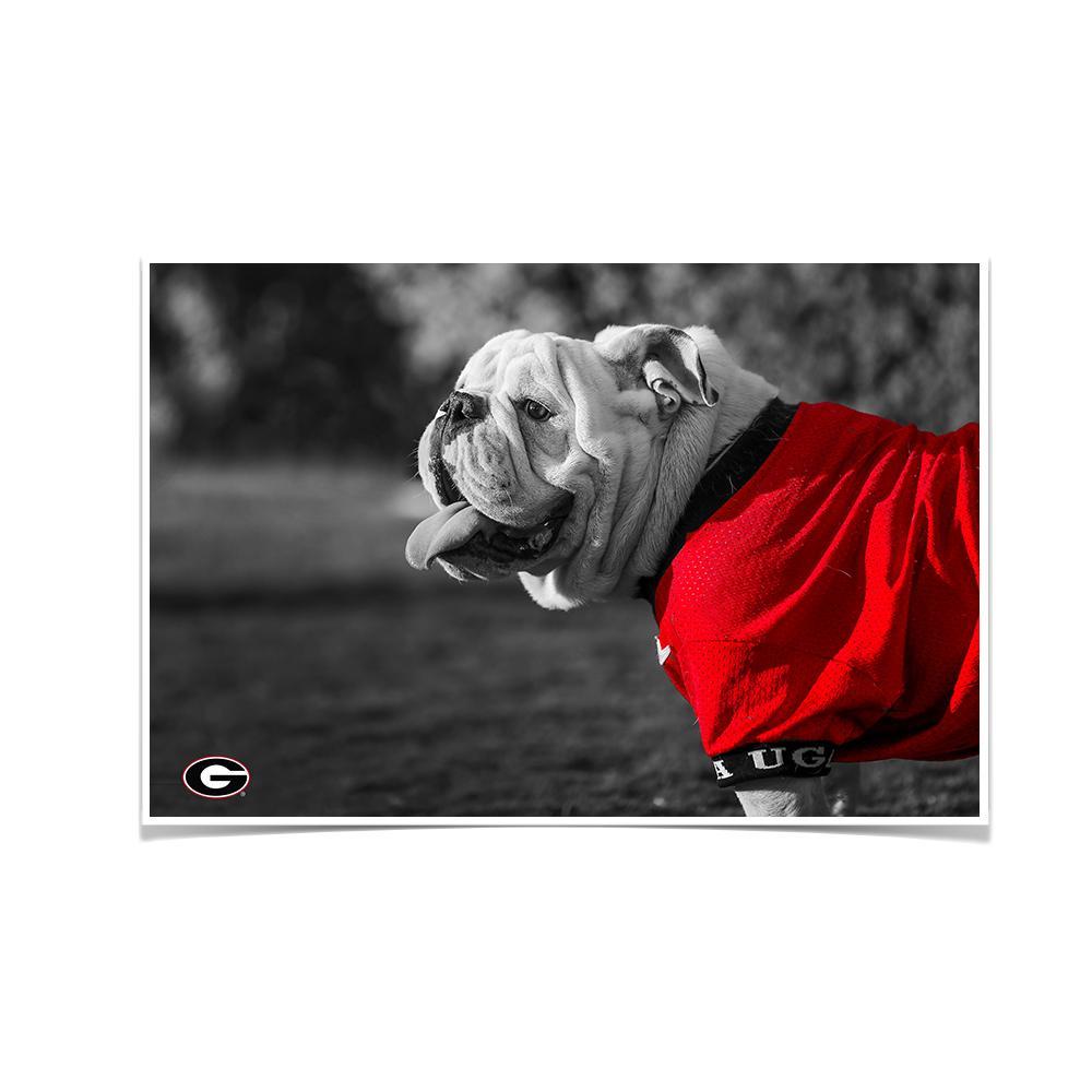 Georgia Bulldogs - Uga Poised - College Wall Art #Canvas