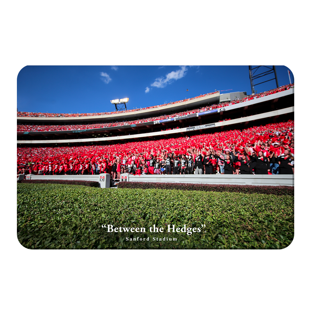 Georgia Bulldogs - Between the Hedges UGA - College Wall Art #Canvas