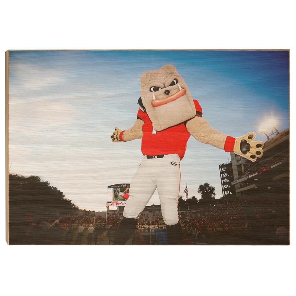 Georgia Bulldogs - Hairy the Dawg - College Wall Art #Canvas