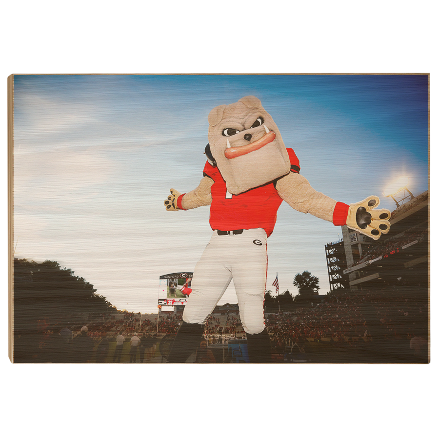 Georgia Bulldogs - Hairy the Dawg - College Wall Art #Canvas