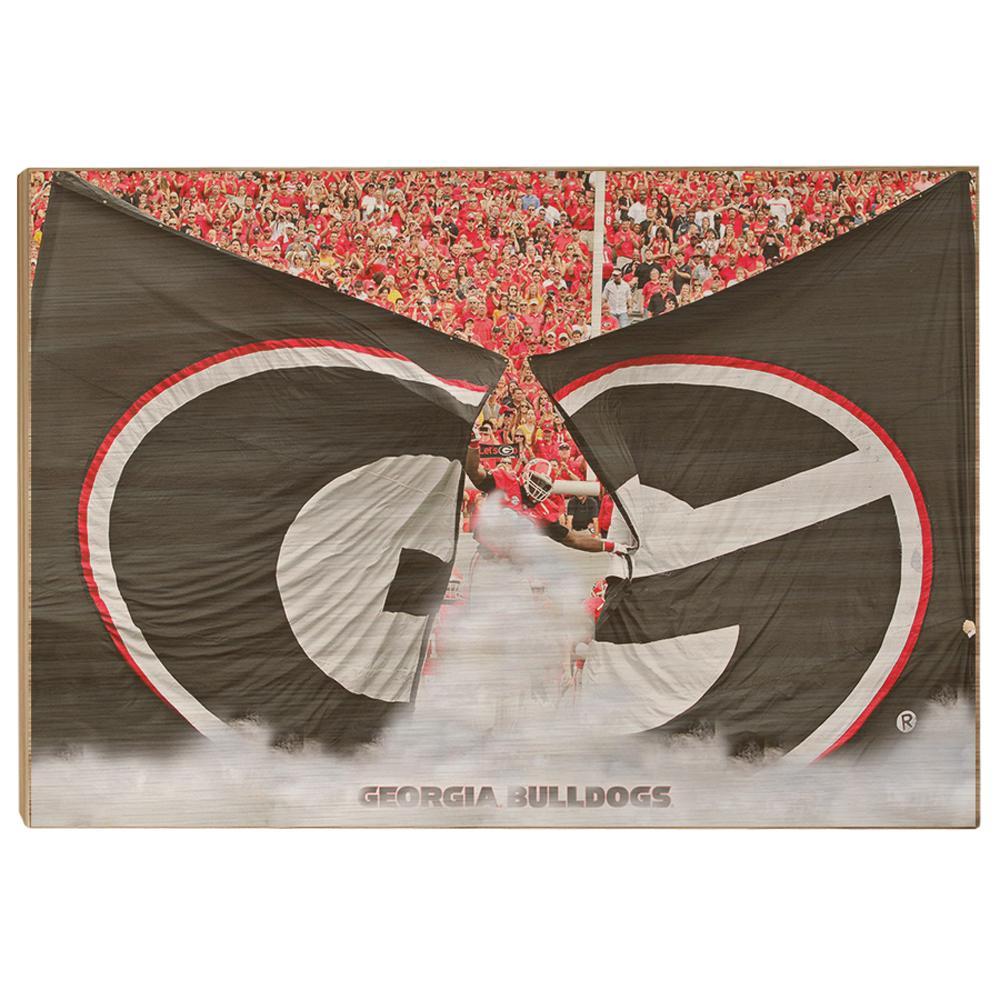Georgia Bulldogs - Grand G Entrance - College Wall Art #Canvas