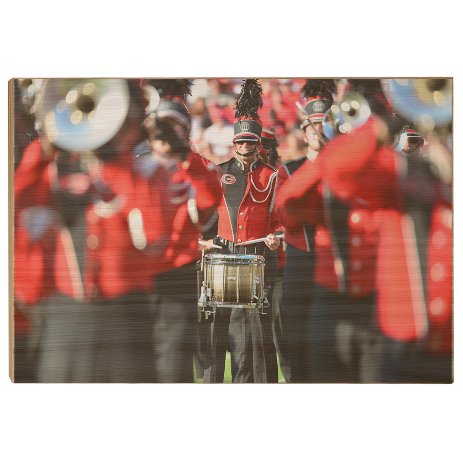 Georgia Bulldogs - Redcoat - College Wall Art #Canvas