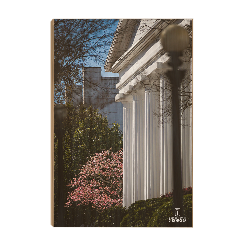 Georgia Bulldogs - Pillars of Strength - College Wall Art #Canvas