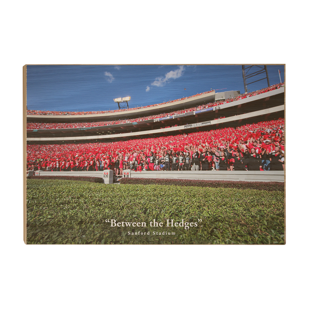 Georgia Bulldogs - Between the Hedges UGA - College Wall Art #Canvas