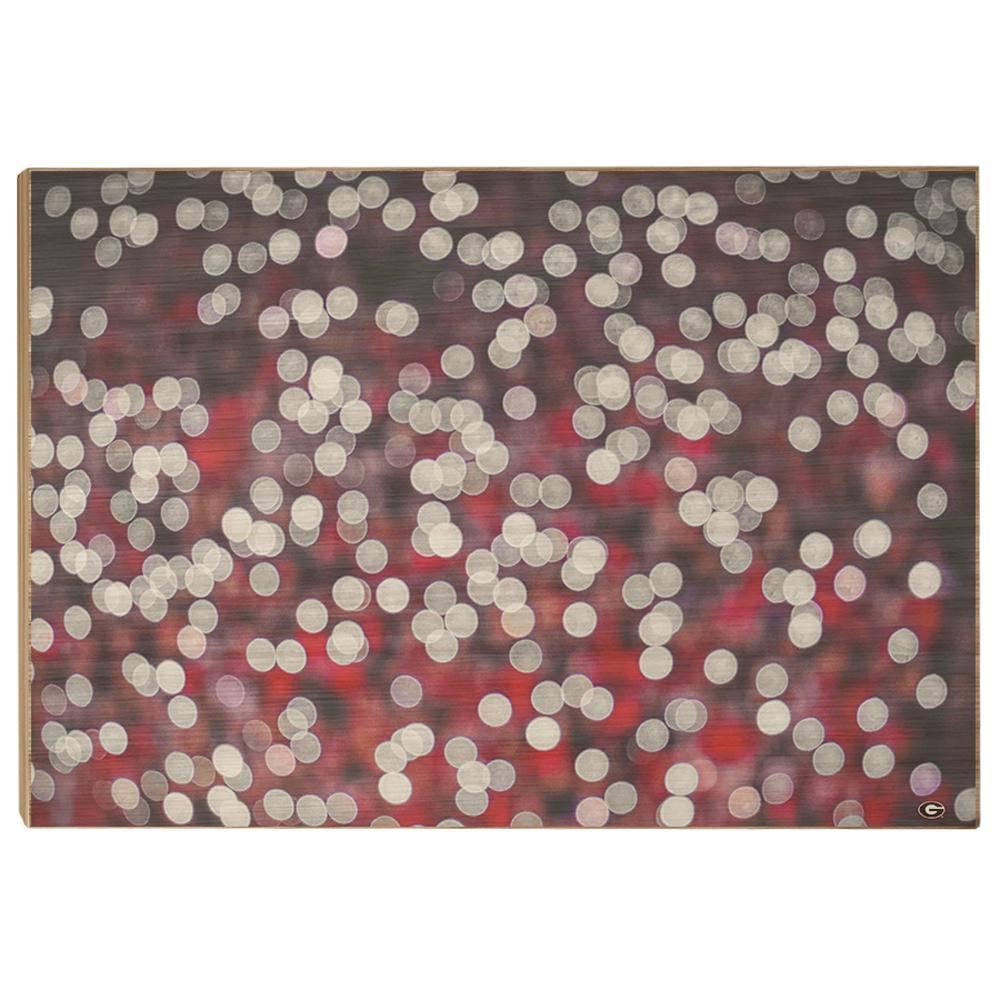 Georgia Bulldogs - Sanford Lights - College Wall Art #Canvas