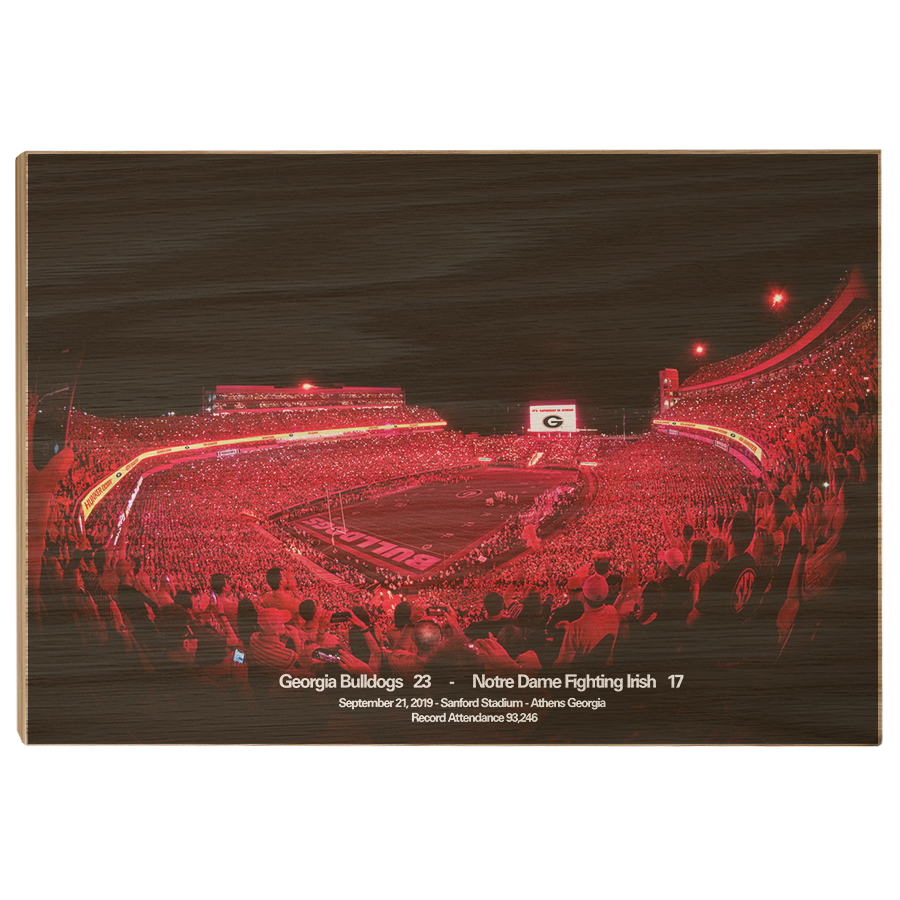 Georgia Bulldogs - Sanford Red Lights Georgia vs. Notre Dame - College Wall Art #Canvas