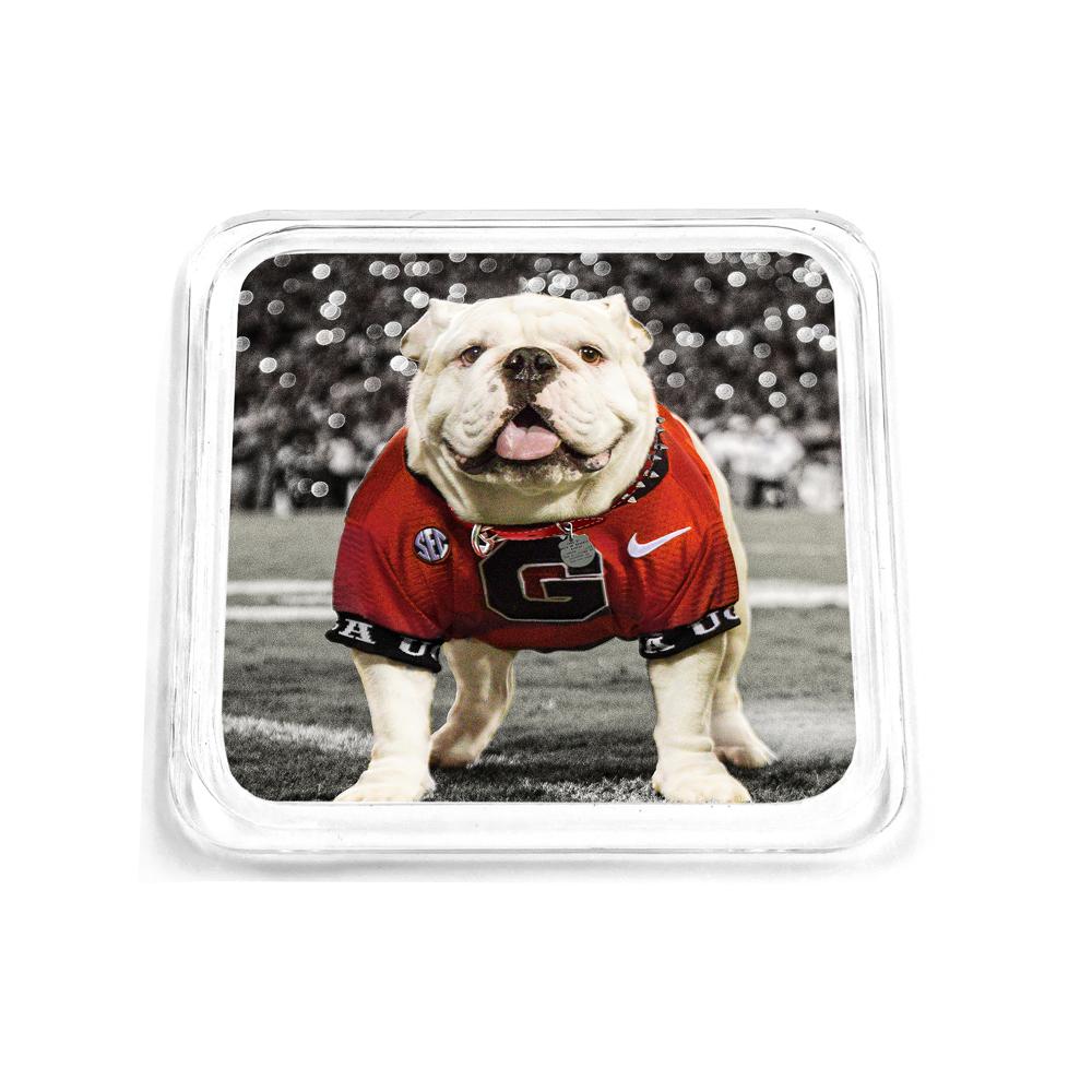 Georgia Bulldogs - Uga Under The Lights Drink Coaster