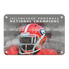 Georgia Bulldogs - 2022 College Football National Champions - College Wall Art #Metal