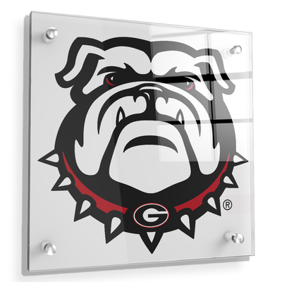 Georgia Bulldogs - Bulldogs - College Wall Art #Acrylic
