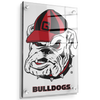 Georgia Bulldogs - Bulldogs - College Wall Art #Acrylic