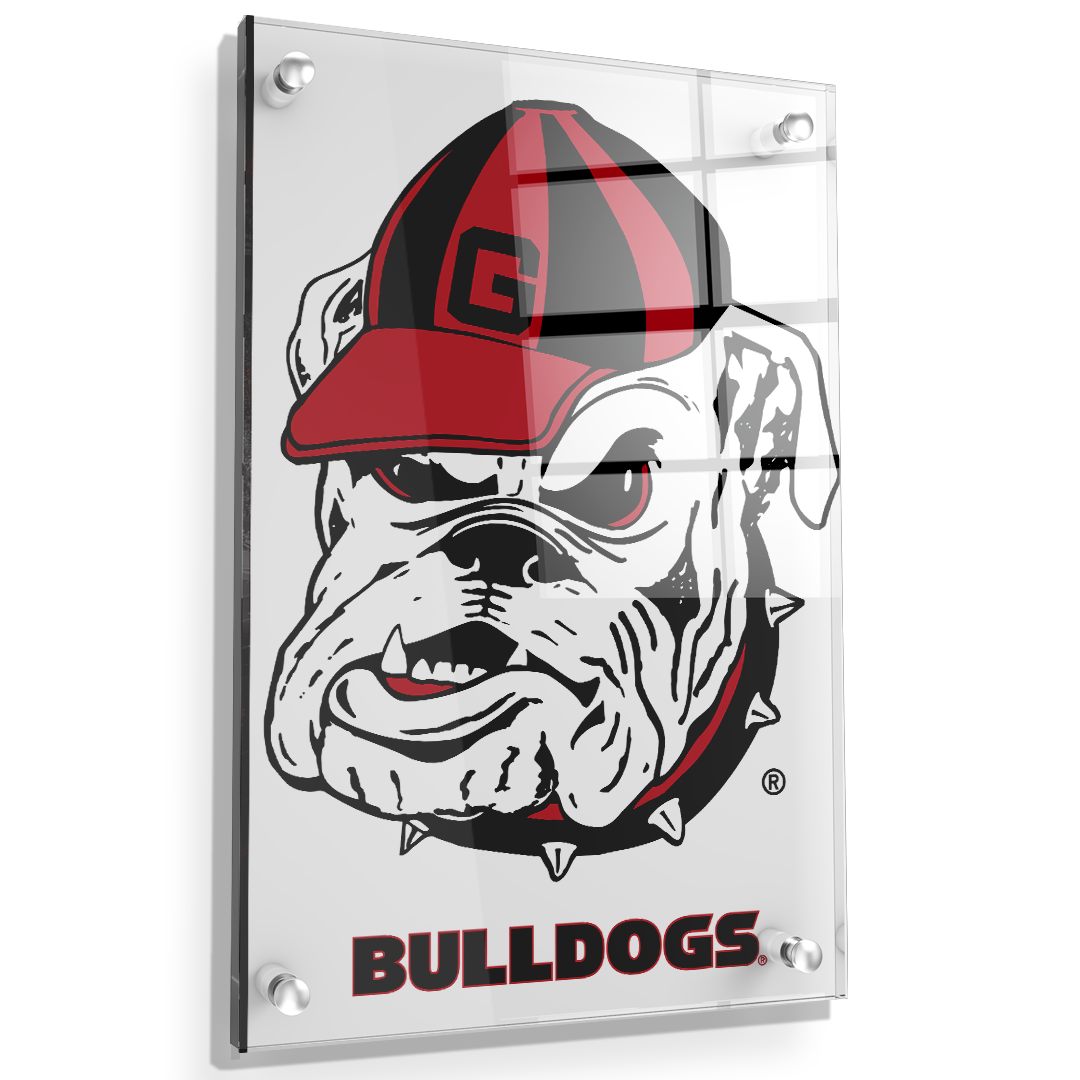 Georgia Bulldogs - Bulldogs - College Wall Art #Canvas