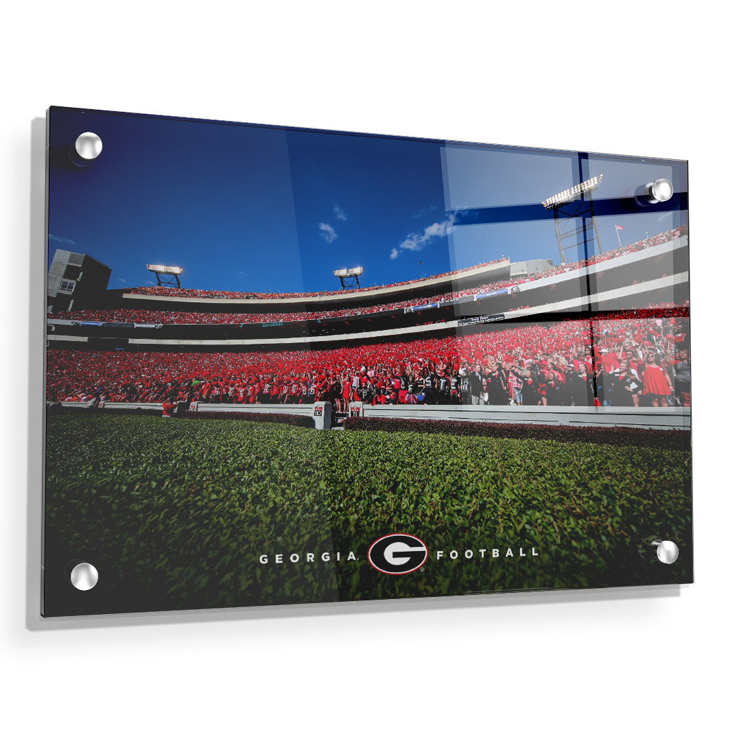 Georgia Bulldogs - Georgia Football - College Wall Art #Canvas