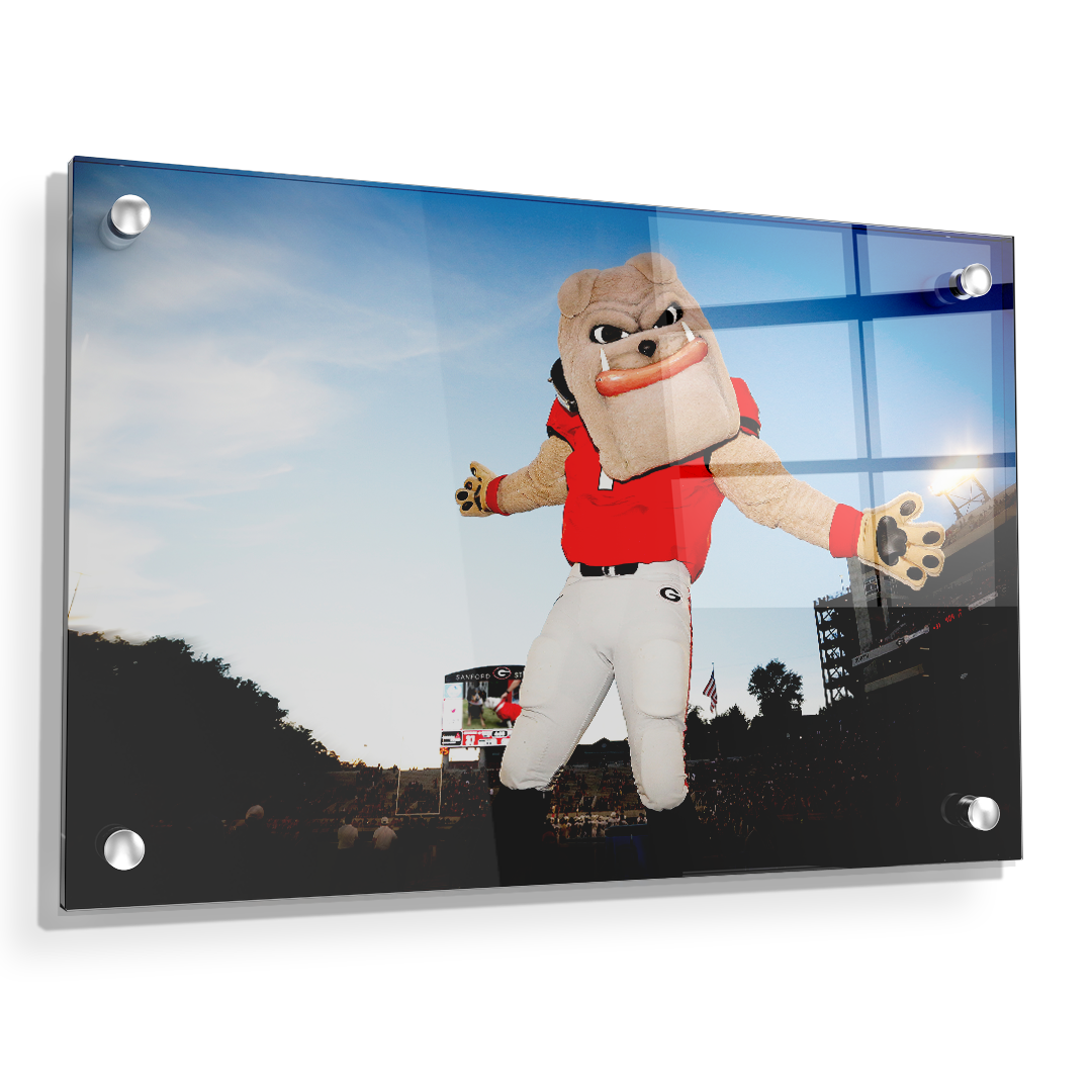 Georgia Bulldogs - Hairy the Dawg - College Wall Art #Canvas
