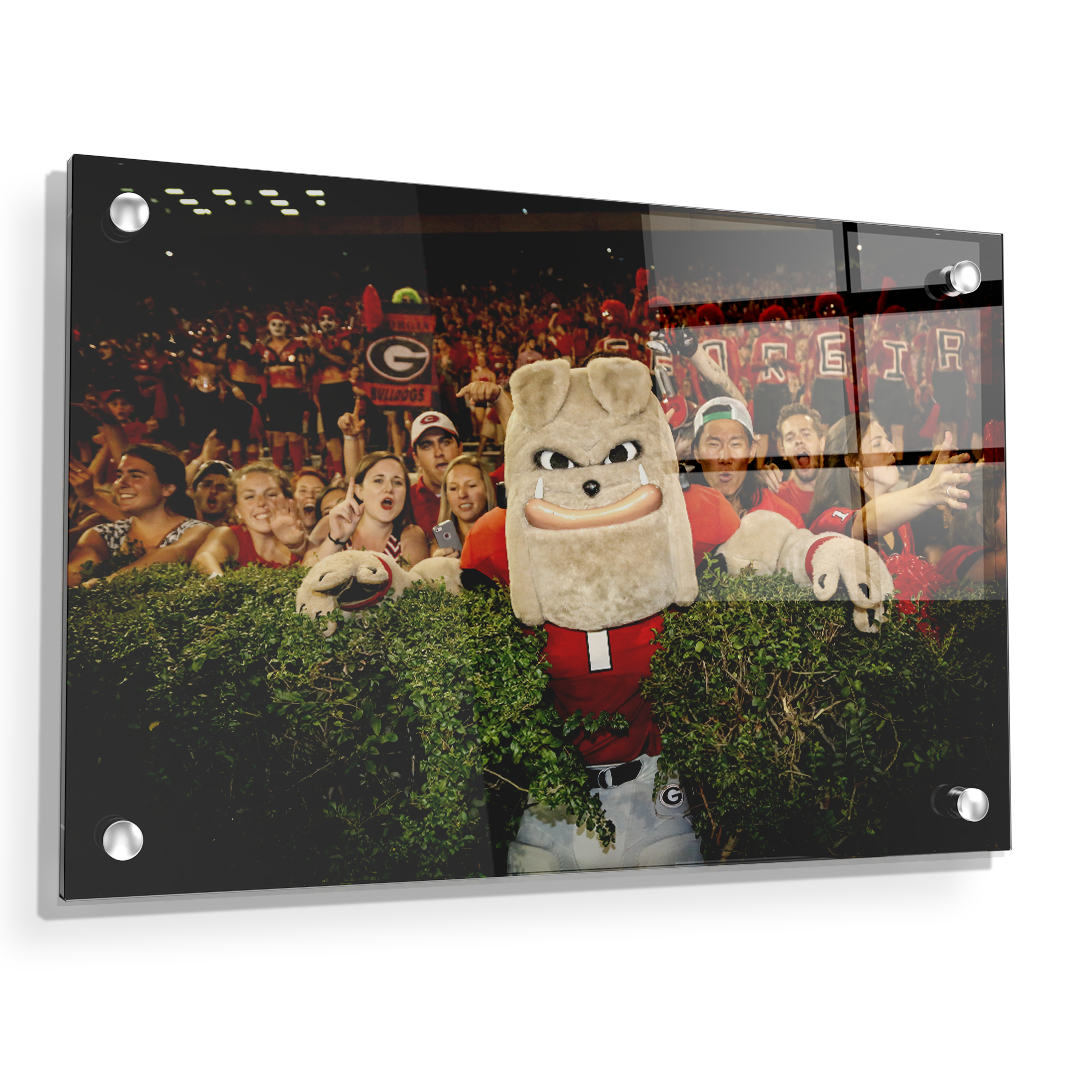 Georgia Bulldogs - Hairy in the Hedges - College Wall Art #Canvas