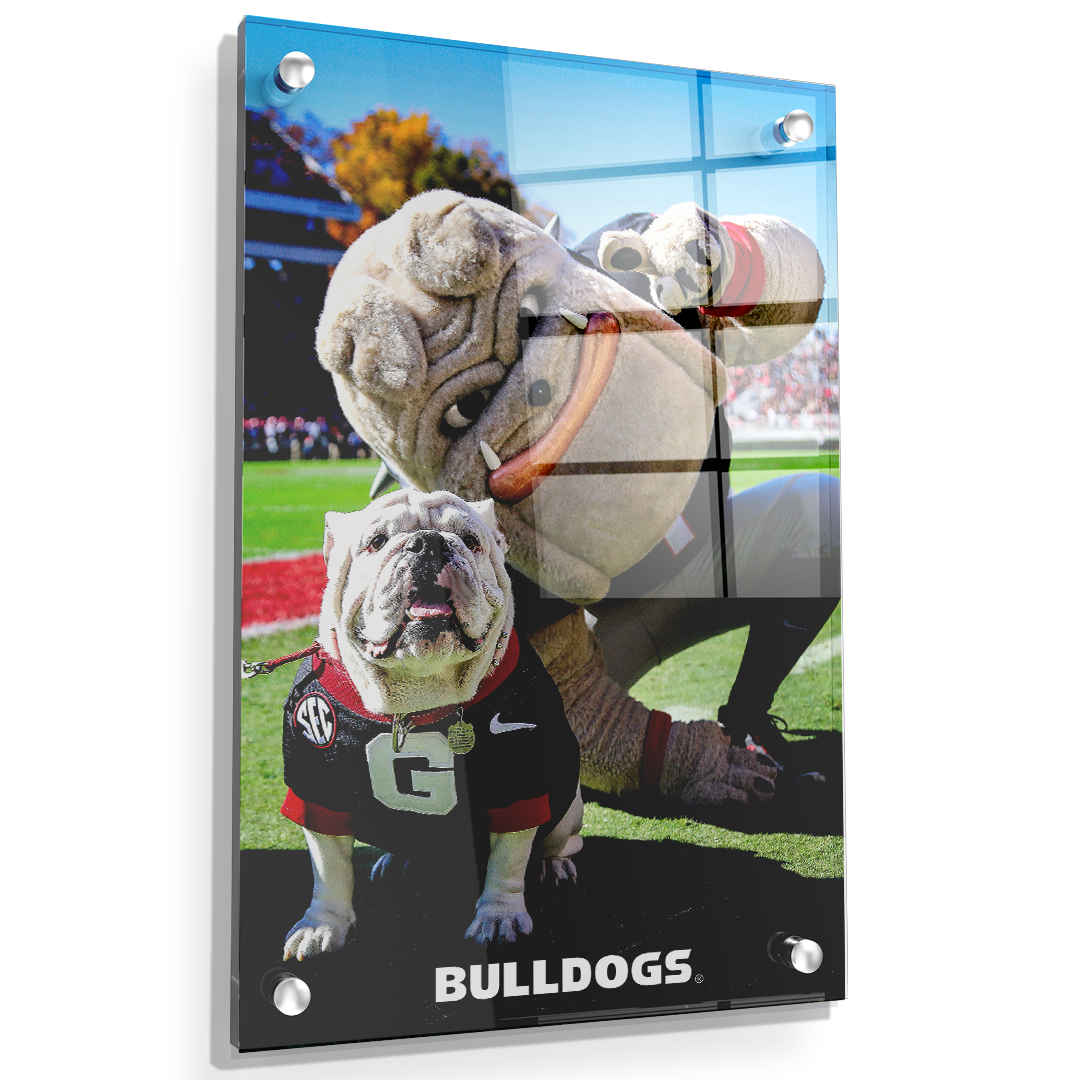 Georgia Bulldogs - Uga & Hairy the Dawg - College Wall Art #Canvas