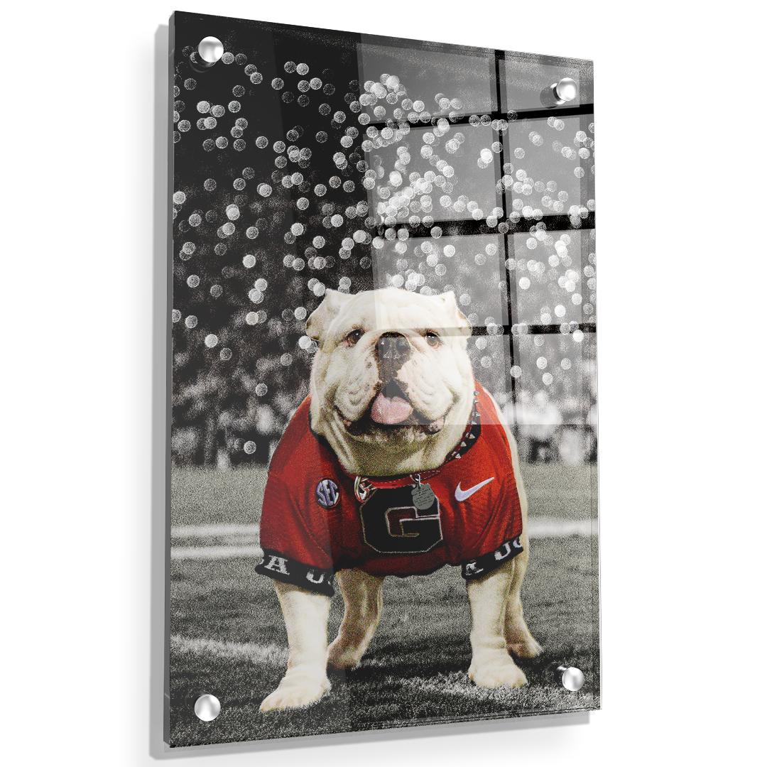 Georgia Bulldogs - Uga Under the Lights - College Wall Art #Canvas