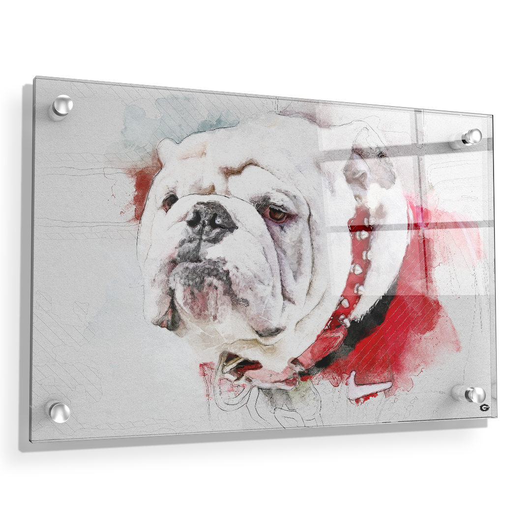 Georgia Bulldogs - Uga Painting - College Wall Art #Canvas