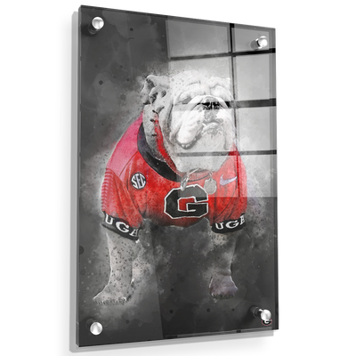Georgia Bulldogs - The Dawg Painting - College Wall Art #Acrylic