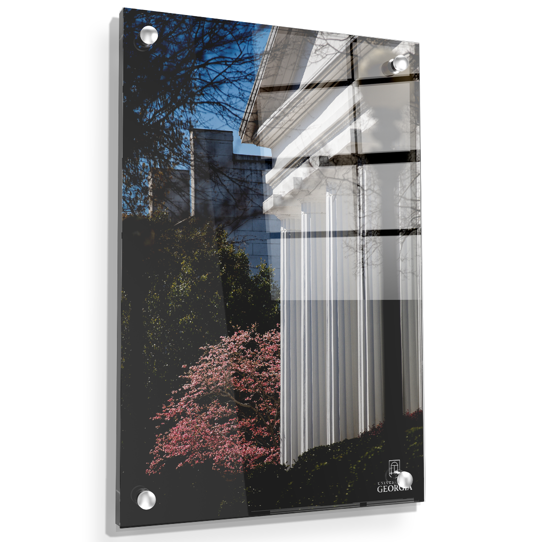 Georgia Bulldogs - Pillars of Strength - College Wall Art #Canvas