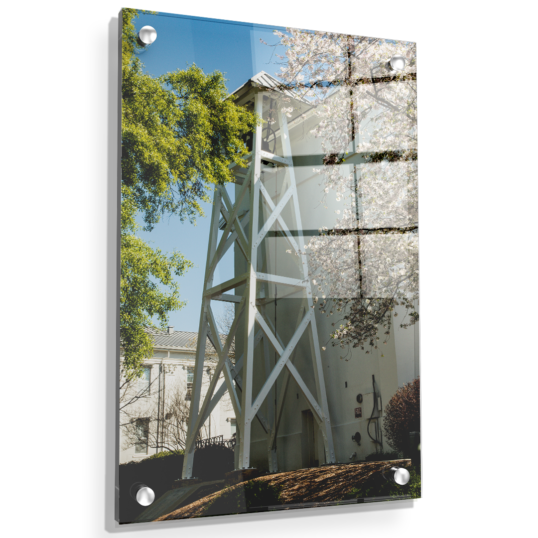 Georgia Bulldogs - Spring Bell Tower - College Wall Art #Canvas