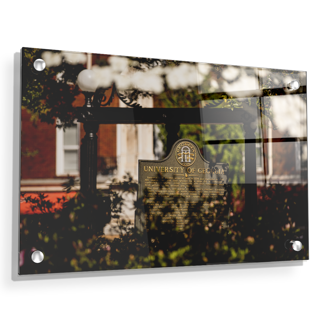 Georgia Bulldogs - Looking Through the Arch - College Wall Art #Canvas