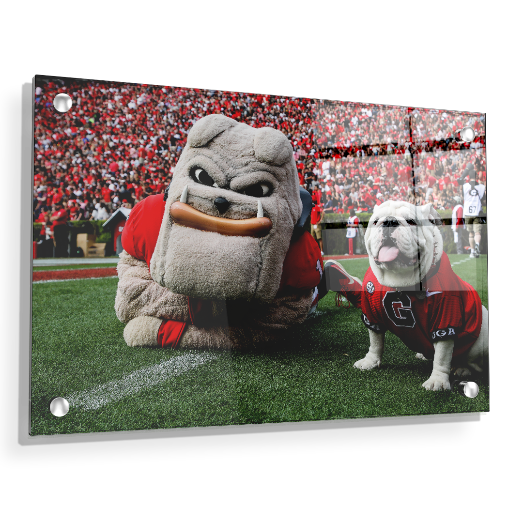 Georgia Bulldogs - Hairy and Uga Game Ready - College Wall Art #Canvas