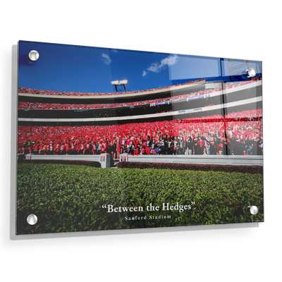 Georgia Bulldogs - Between the Hedges UGA - College Wall Art #Acrylic