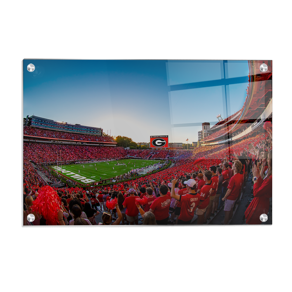 Georgia Bulldogs - Gooooo Georgia - College Wall Art #Canvas