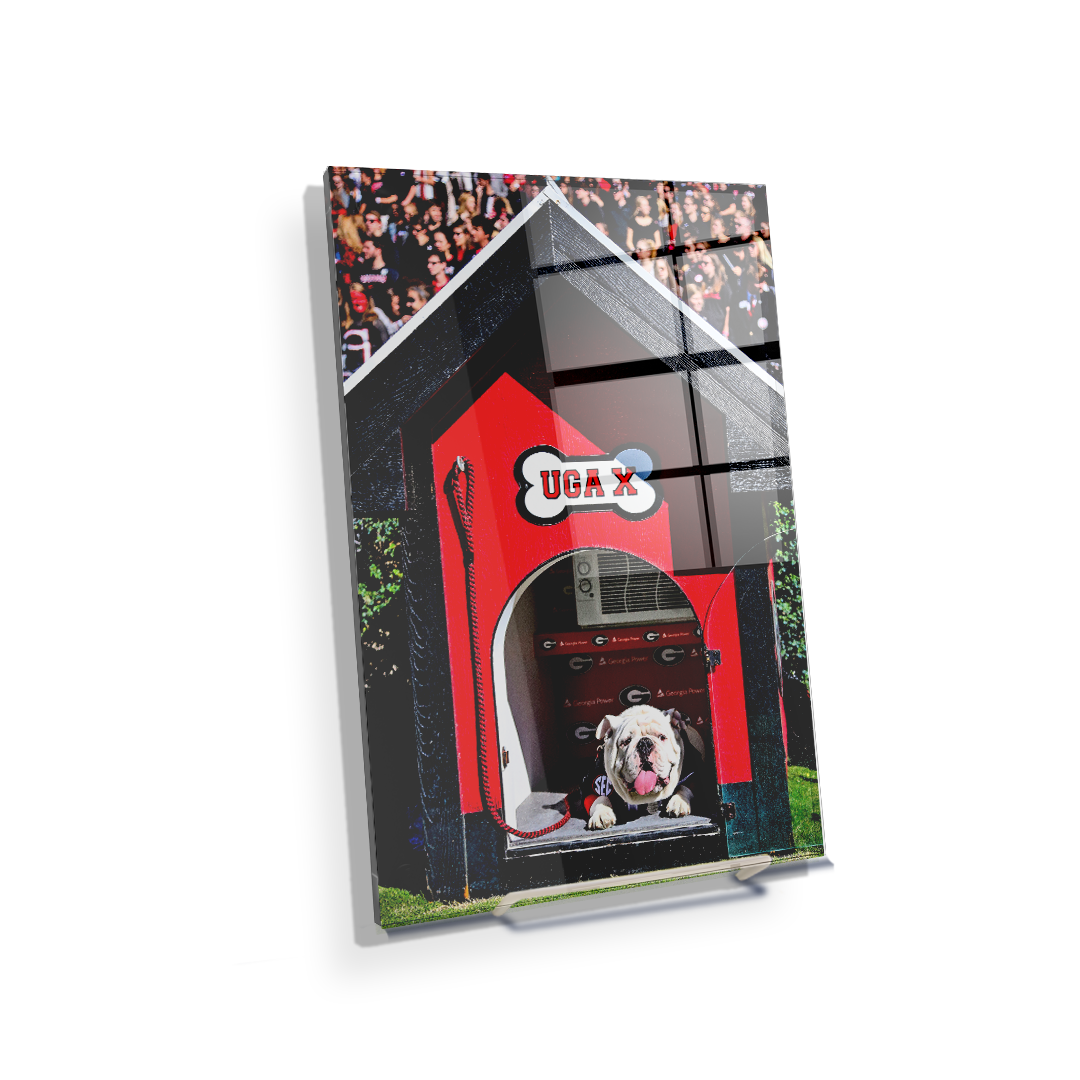 Georgia Bulldogs - Uga X in the House - College Wall Art #Canvas