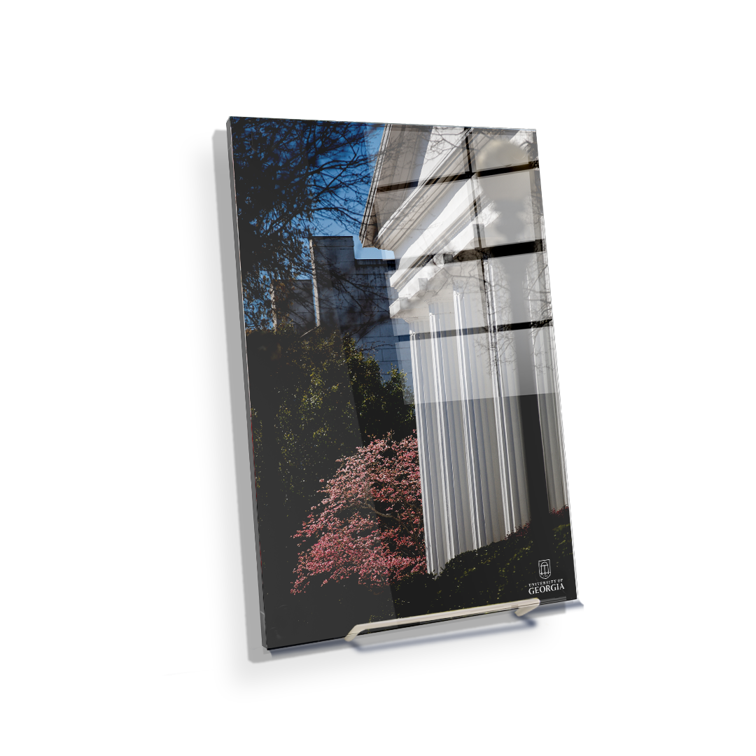 Georgia Bulldogs - Pillars of Strength - College Wall Art #Acrylic Mini