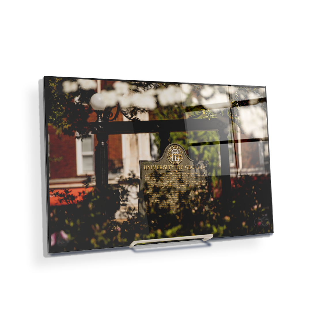 Georgia Bulldogs - Looking Through the Arch - College Wall Art #Canvas