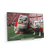 Georgia Bulldogs - Hairy and Uga Game Ready - College Wall Art #Canvas
