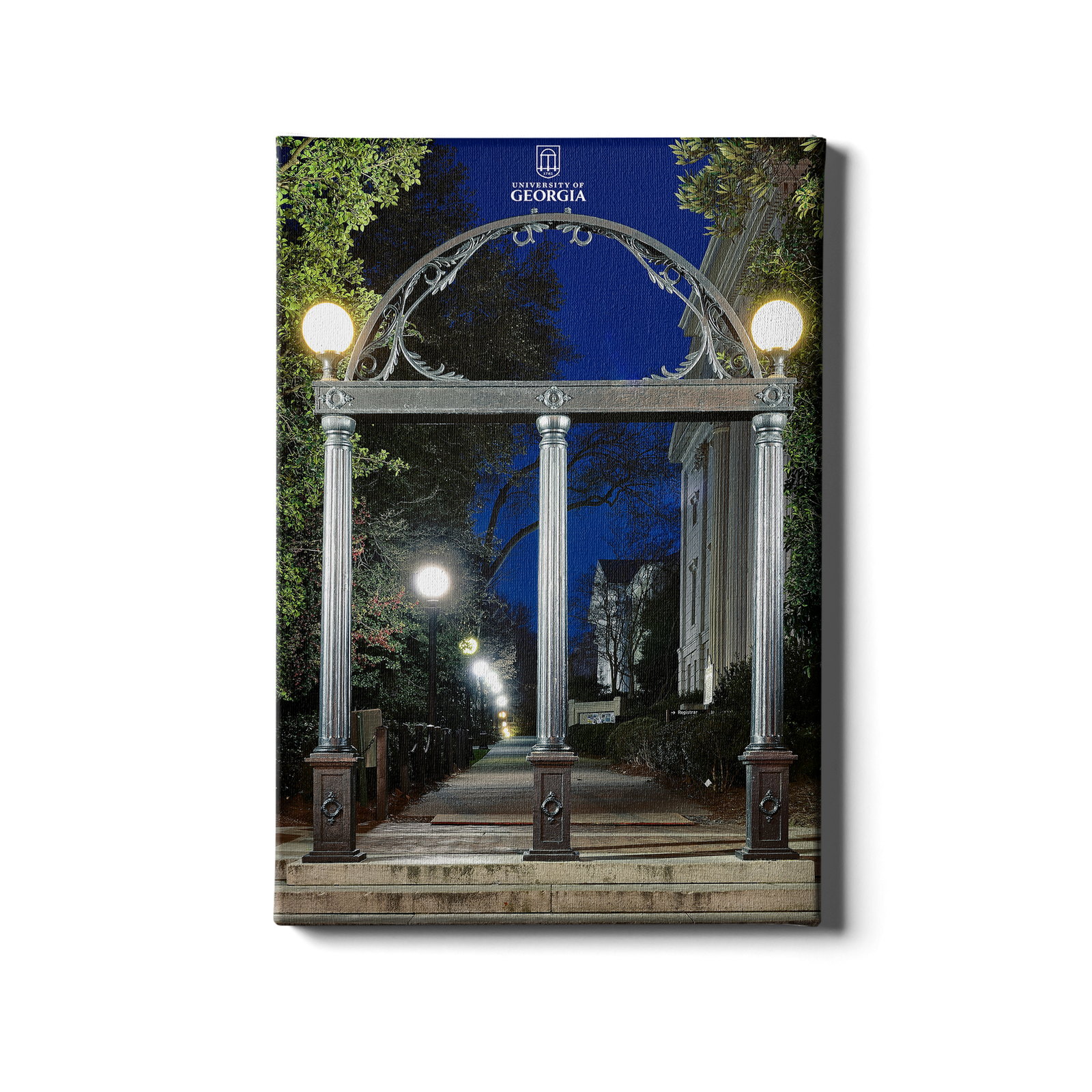 Georgia Bulldogs - Through the Arch - College Wall Art #Canvas