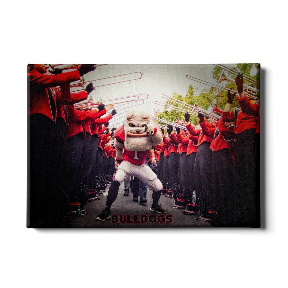 Georgia Bulldogs - 2021 National Champions Shield Single Layer Dimensi -  Dawg Wall Art