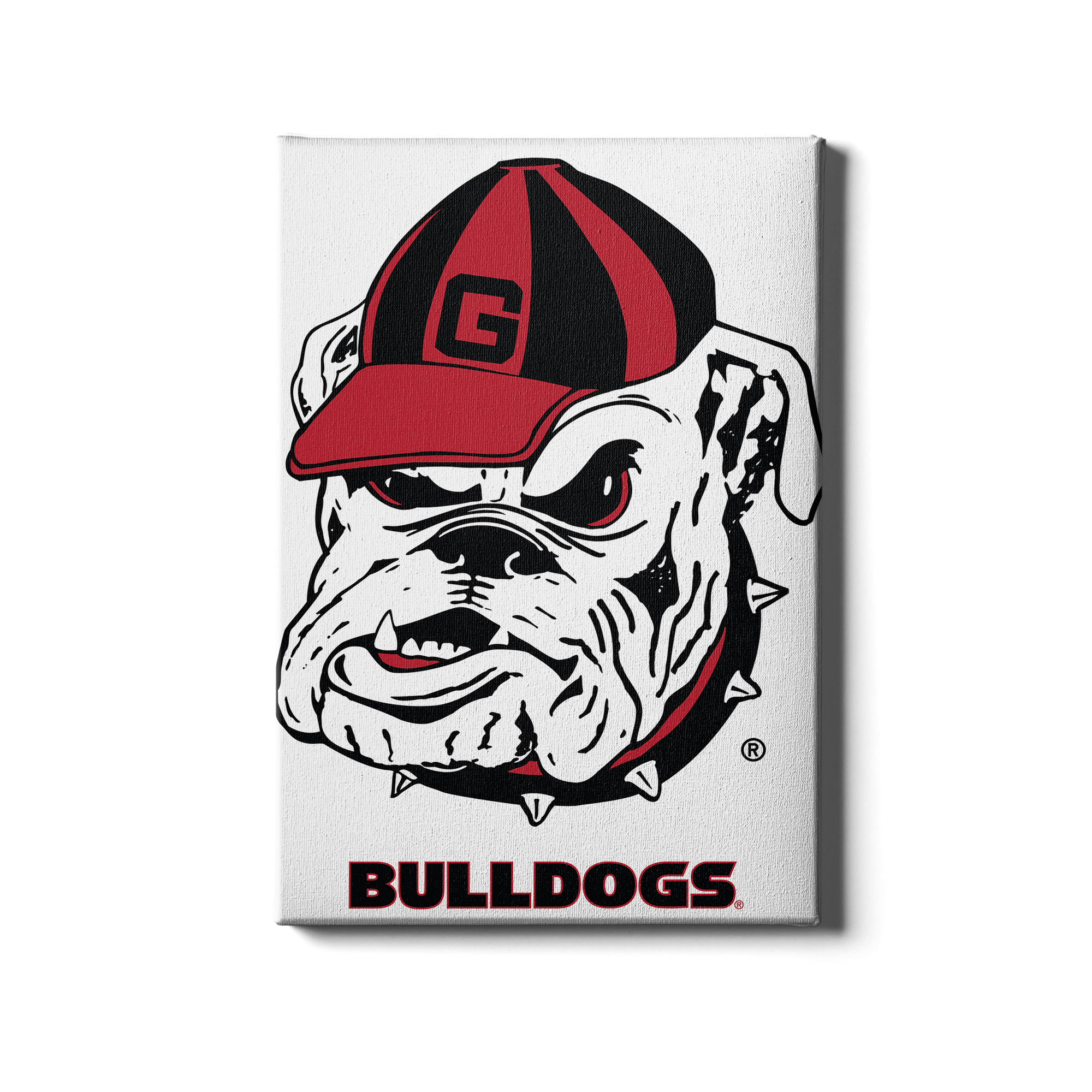 Georgia Bulldogs - Bulldogs - College Wall Art #Canvas