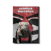 Georgia Bulldogs - Georgia Bulldogs - College Wall Art #Canvas