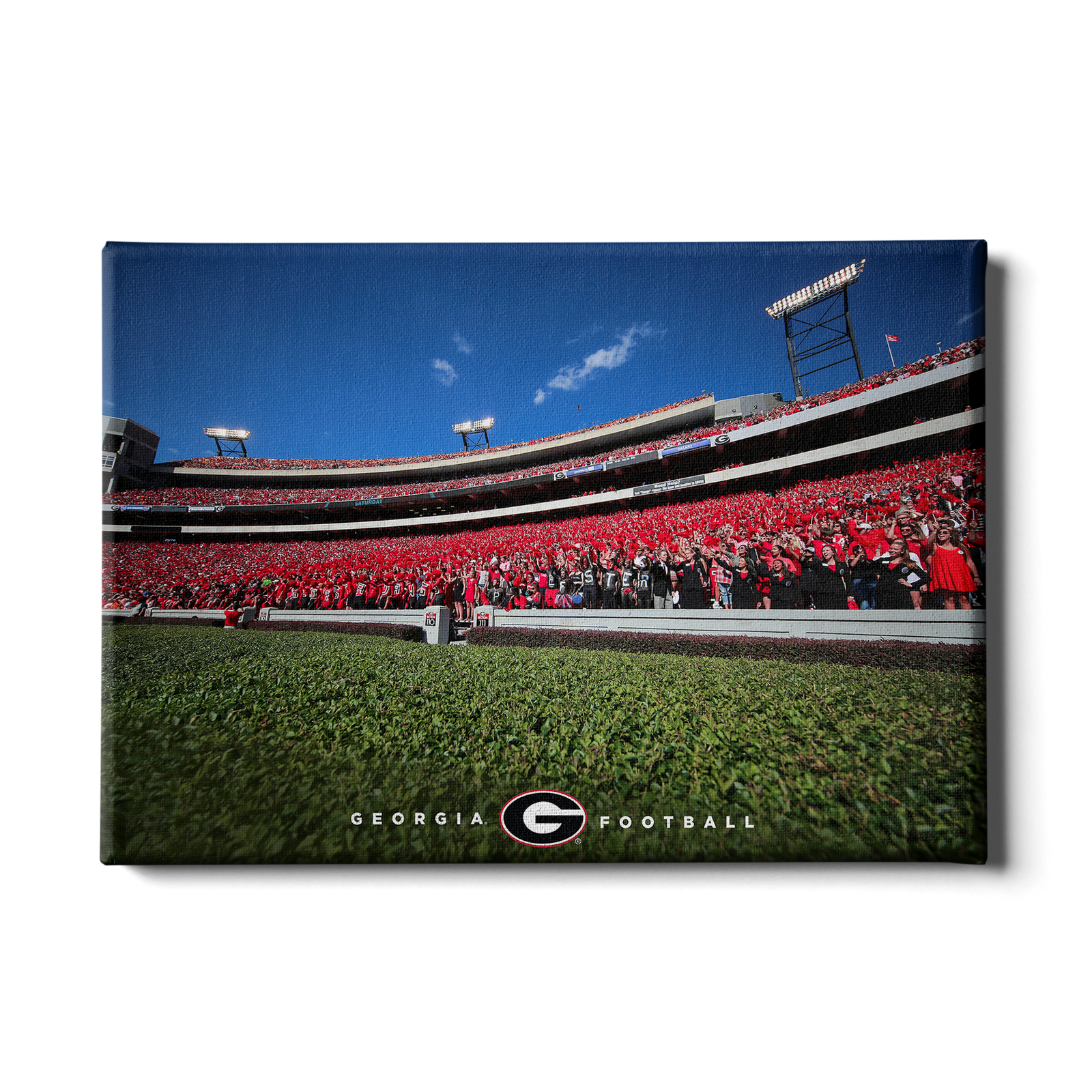Georgia Bulldogs - Georgia Football - College Wall Art #Canvas