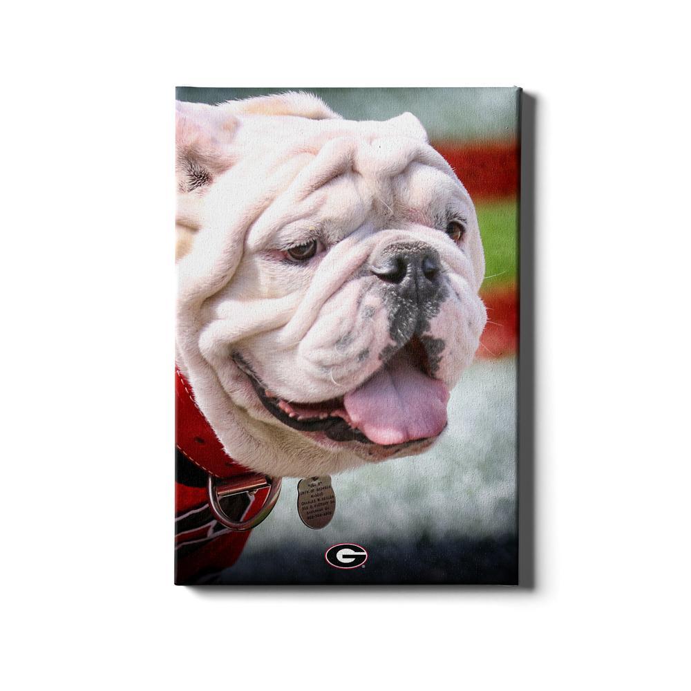 Georgia Bulldogs - Uga Portrait - College Wall Art #Canvas