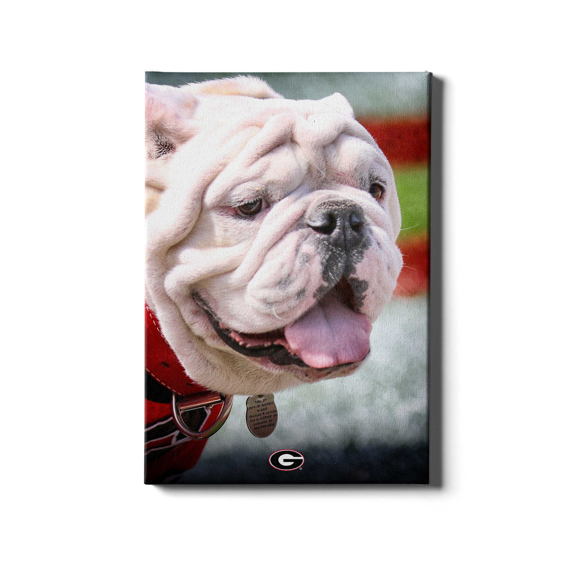 Georgia Bulldogs - Uga Portrait - College Wall Art #Canvas