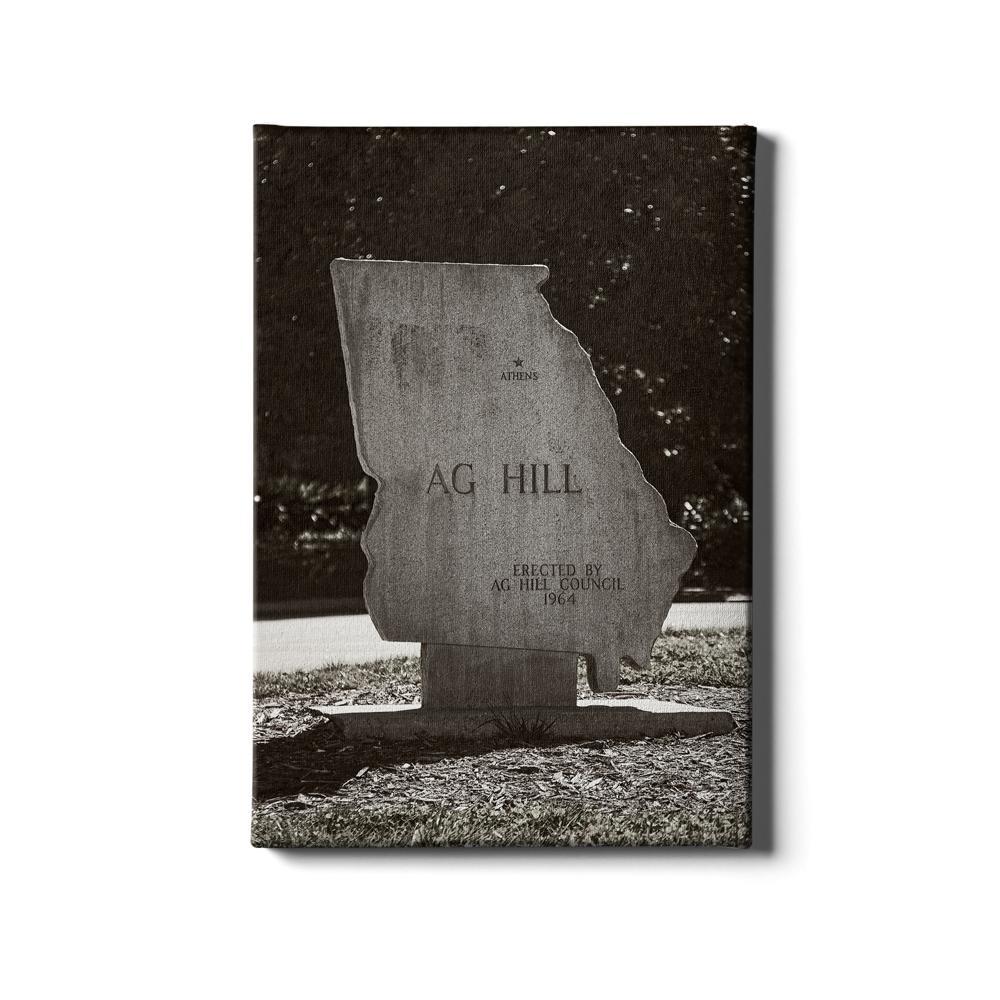 Georgia Bulldogs - AG Hill - College Wall Art #Canvas
