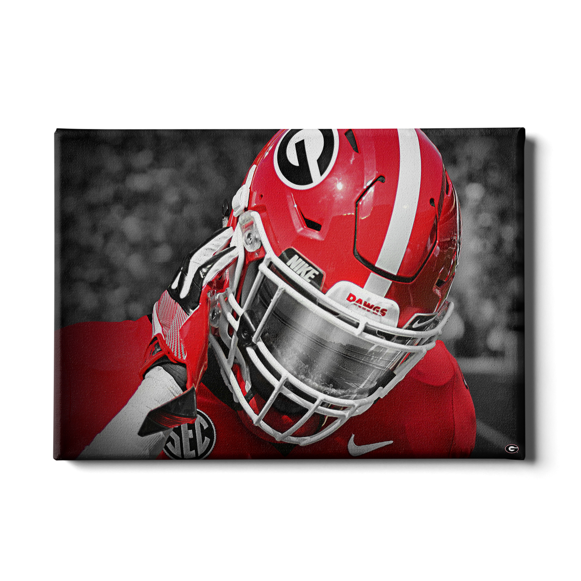 georgia bulldogs speedflex helmet Riddell Mid-Size The Riddell SpeedFlex Helmet is one of the most popular and iconic styles in history and one of the most sought after by players and collectors Georgia Football Helmet Georgia Bulldogs