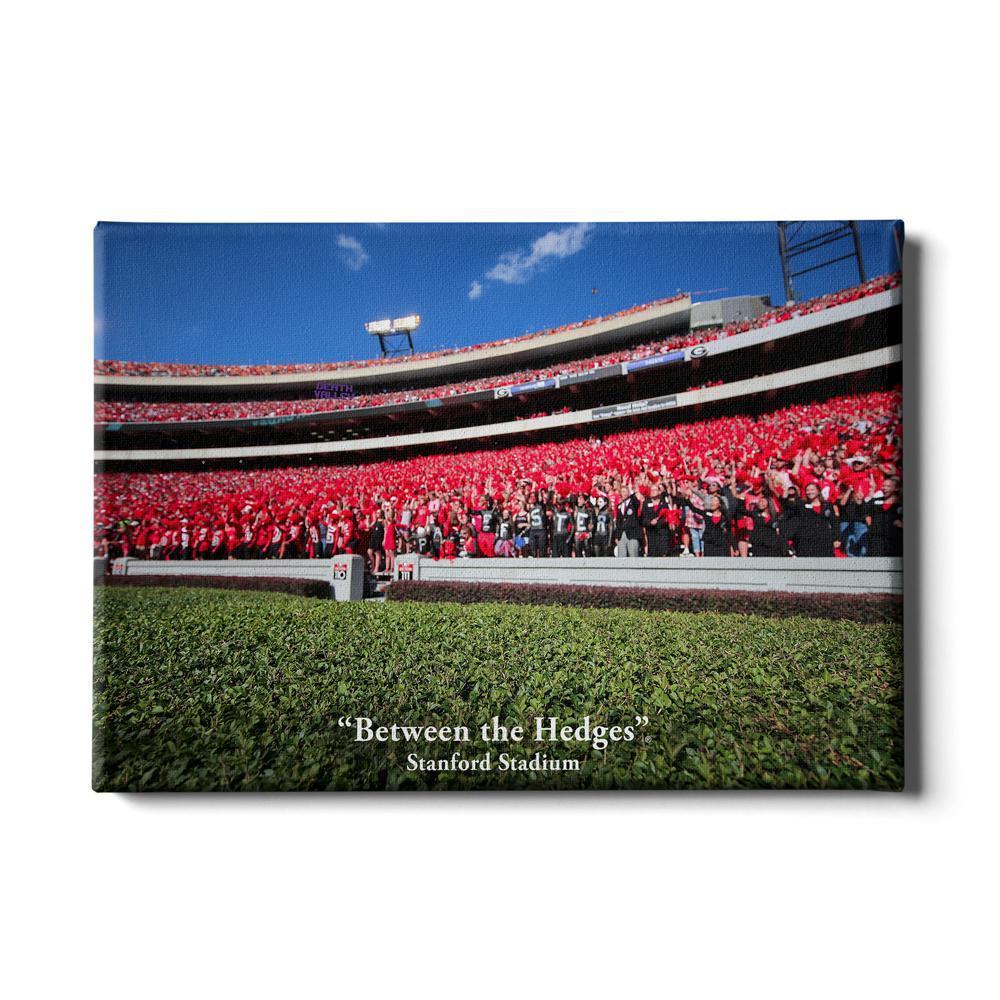 Georgia Bulldogs - Between the Hedges UGA - College Wall Art #Canvas